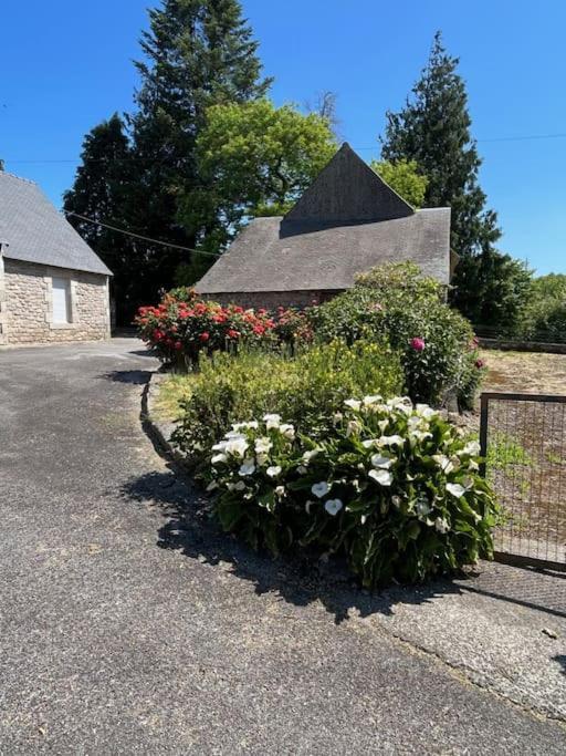 Gite Du Dolmen Guiscriff Kültér fotó